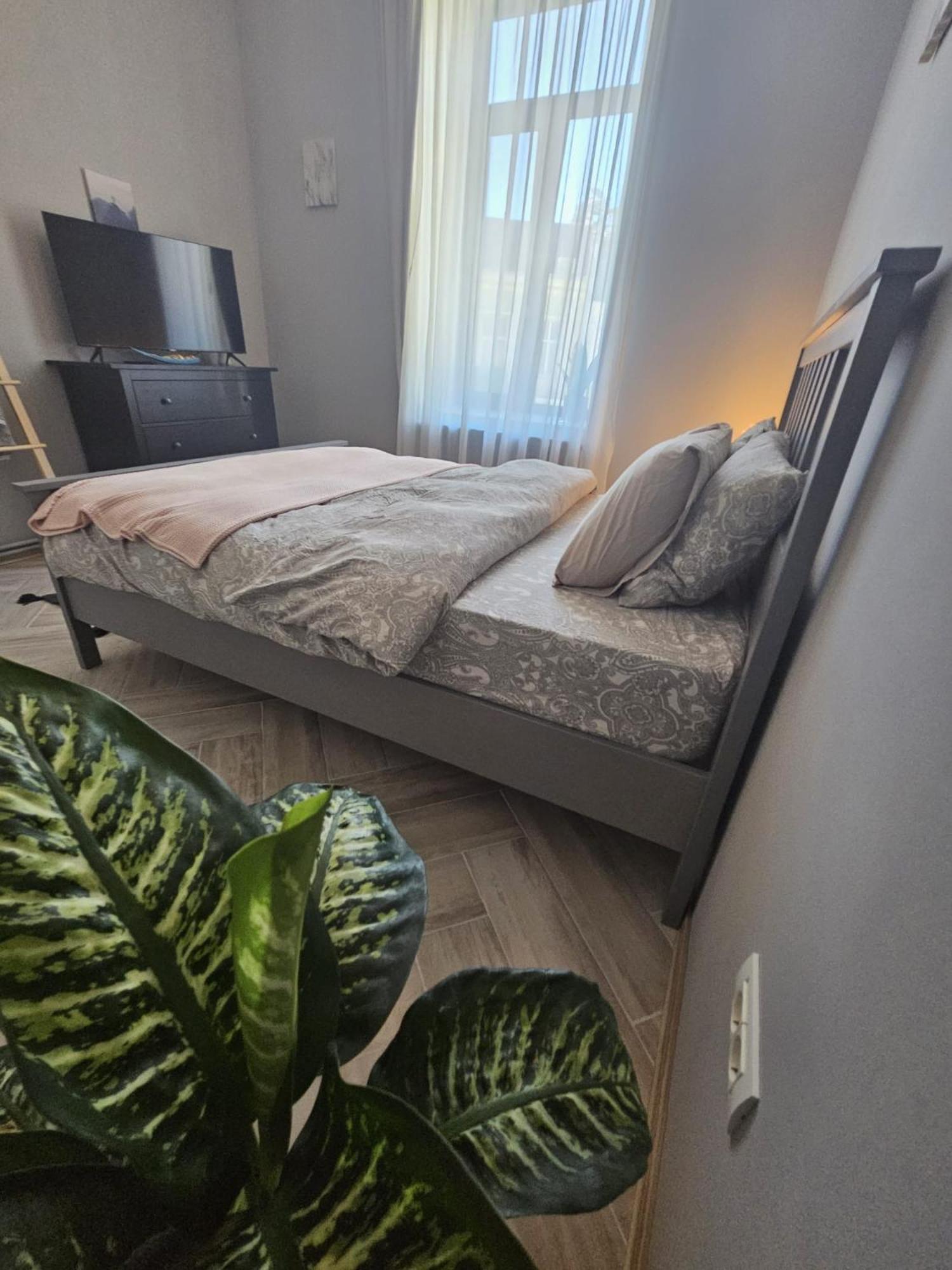 Zig Zag Apartment 4- Old Town 康斯坦察 外观 照片