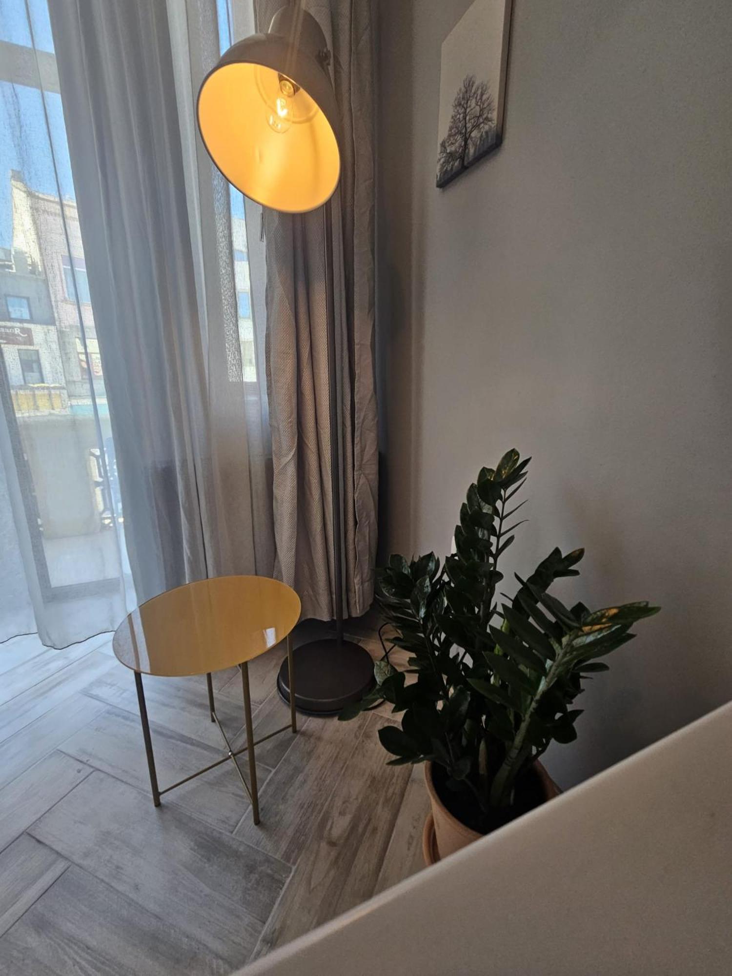 Zig Zag Apartment 4- Old Town 康斯坦察 外观 照片